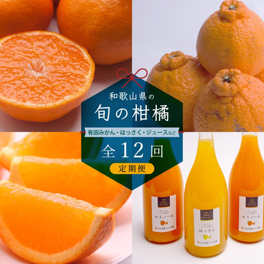 
                  ［ 毎月発送 全12回 ］ 柑橘定期便A［IKE9］
                