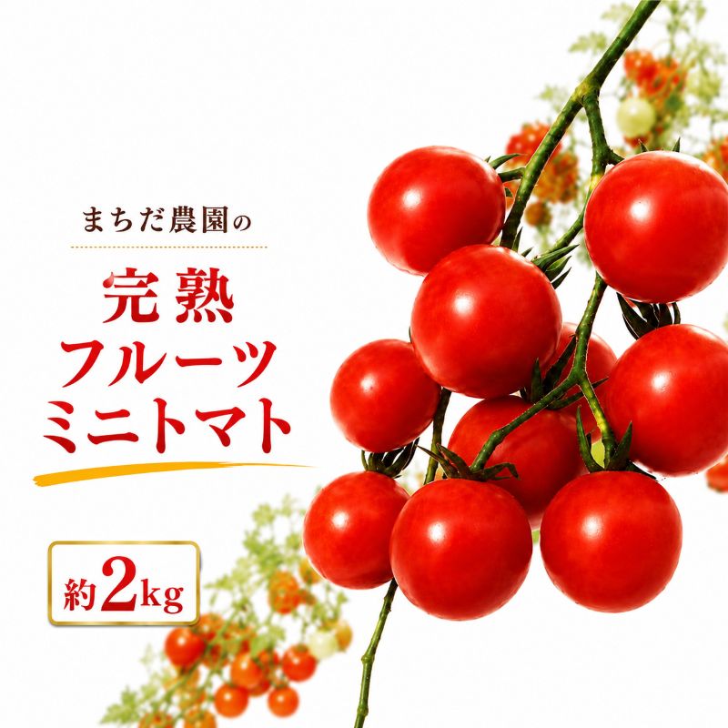 【ふるさと納税】トマト 高知 フルーツトマト ミニ 2kg 完熟 甘い 濃厚 野菜 人気 ふるーつとまと 甘い 濃厚 美味しい 箱詰め 糖度 高知 四万十川 まちだ農園 高糖度 定期便 ギフト おやつ プチ お弁当 季節限定