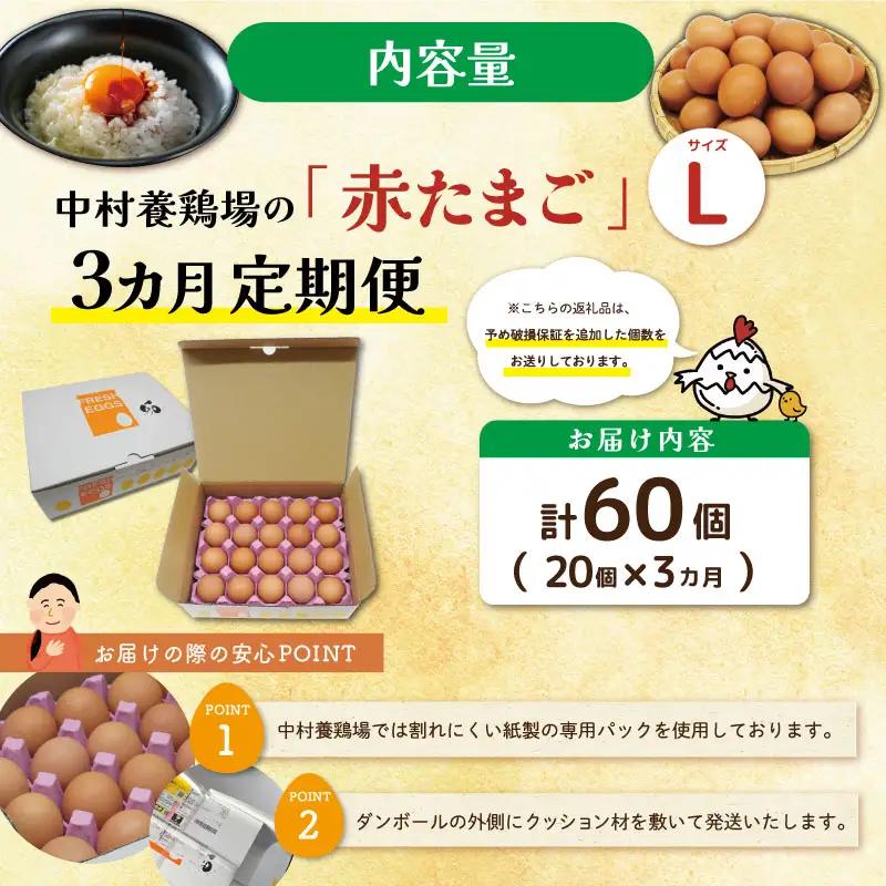 新鮮たまご 赤玉 Lサイズ 20個×3回 【定期便】中村養鶏場 ny4