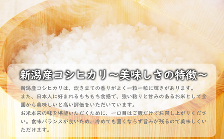 こしひかり 新潟産 コシヒカリ 5kg  毎月6回 連続でお届けします。定期便 米 お米 こめ コメ ごはん 新潟 白米 コシヒカリ ブランド米 銘柄米 お取り寄せ 産地直送