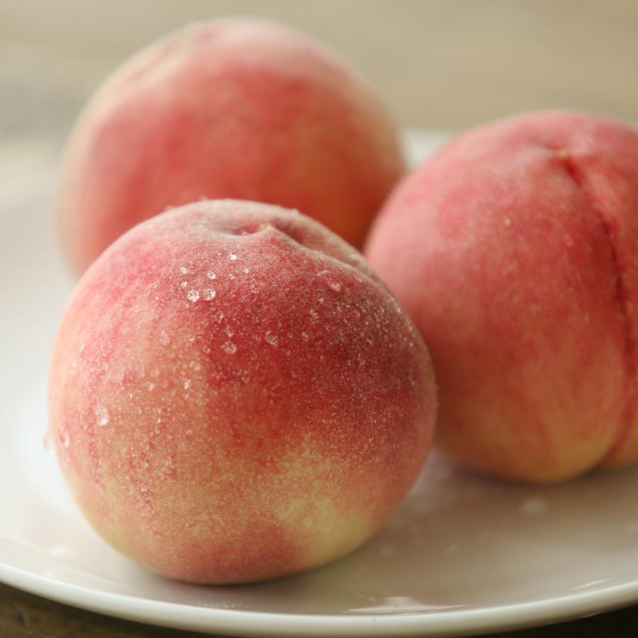 ＜紀のファーム＞赤秀あら川の桃「川中島白桃」2kg（５～７玉）