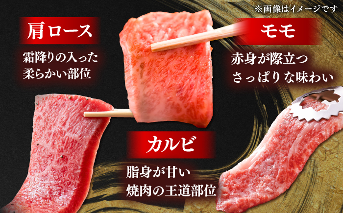しまね和牛焼肉3種盛り(肩ロース・カルビ・モモ) 各300g 島根和牛 黒毛和牛 詰め合わせ 食べ比べ 島根県雲南市/Do corporation株式会社 [AIDI024]