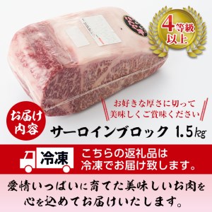 黒毛和牛 曽於さくら牛 サーロイン ブロック (1.5kg)【福永産業】D3-v01