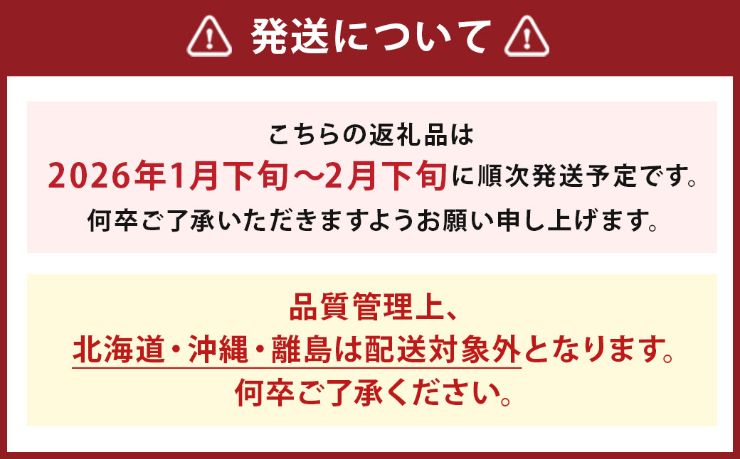  【期間限定】博多 あまおう いちご エクセレント 約450g×2パック 合計約900g【2026年1月下旬～2月下旬順次発送予定】