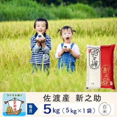 ふるさと納税 佐渡市 【毎月定期便】佐渡島産新之助 白米5Kg(5Kg×1袋)全9回