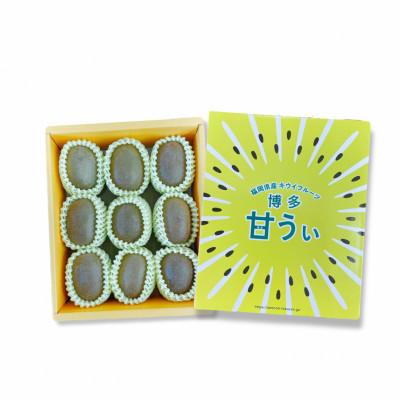 ふるさと納税 広川町 【2026年11月上旬発送開始】甘さ溢れるキウイフルーツ『博多甘うぃ』大玉9玉約1.4kg(広川町) |  | 02