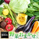 【ふるさと納税】 朝採れ 野菜 おまかせ セット 野菜 季節の野菜 旬の野菜 春野菜 春キャベツ ふき 菜の花 夏野菜 玉ねぎ 南京 きゅうり 秋野菜 里芋 玉葱 さつまいも 冬野菜 白菜 ほうれん草 かぶ お楽しみ 詰め合わせ 冷蔵 特産品 お取り寄せ グルメ