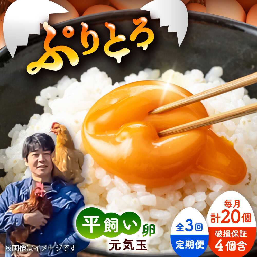 【ふるさと納税】【全3回定期便】平飼い新鮮たまご　元気玉 計20個(10個×2パック) / 卵 ぷりぷり 新鮮 平飼い 自然飼育 コク 甘み 玉子 オムレツ たまごかけごはん 朝食 朝ごはん 鶏卵 平飼い 濃厚 こく 熊本県 菊陽町【ぴよっこファーム】[BHAP003]