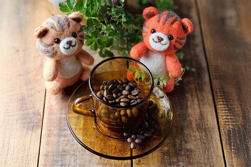 スペシャルティ コーヒー豆 300g Brazil Coffee of The Year 2024 2位受賞ロット [とらまめロースタリー 兵庫県 三田市 3d28bed500002] 珈琲 coff