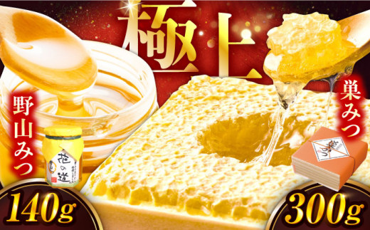 巣みつ・野山みつセット 合計440g 蜂蜜 はちみつ コムハニー 極上 濃厚 スピード配送 広川町 / 株式会社九州蜂の子本舗 [AFAI002]
