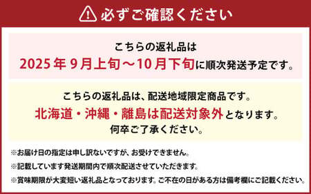 岡山県産 ぶどうパック詰合せ ※2種2パックセット （ ニューピオーネ ・ シャインマスカット ） 【2025年9月上旬～10月下旬発送予定】 ／ ぶどう ブドウ 葡萄 種なし 種無し ピオーネ マス