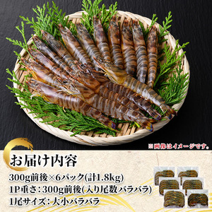 n281 ＜訳あり＞活き〆冷凍車海老！規格外品バラセット(計1.8kg・300g前後×6P) くるまえび 海老 海鮮 海産物 国産 九州産 急速冷凍 車海老 真空パック 養殖 規格外【車海老日本株式会