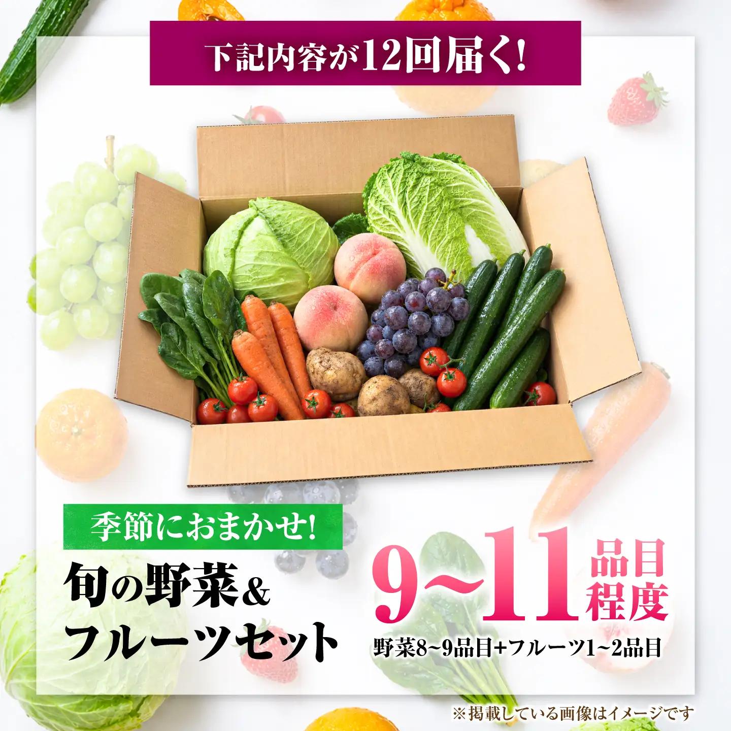 【12回定期便】【産地直送】長崎県諫早産 旬の野菜＆フルーツ詰め合わせ 9～11品目程度 季節のおまかせセット / 野菜 フルーツ 果物 セット 詰め合わせ 旬野菜セット 旬のフルーツ 旬 食べ比べ 