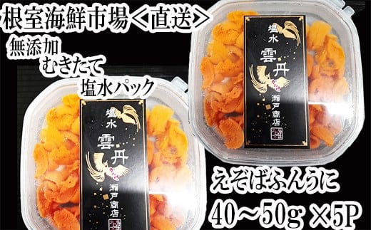 C-11051 無添加むきたてエゾバフンウニ(赤系)塩水パック40～50g×5P[2026年1月中旬以降発送]