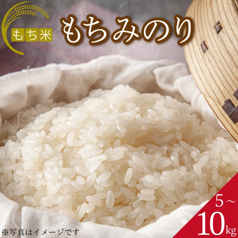 
            米 もち米 5kg 10kg 先行予約 令和7年産 餅 赤飯 おはぎ 備蓄 備蓄米 保存 防災 災害 おこわ 雑煮 大福 あられ 阿波市 徳島県
          