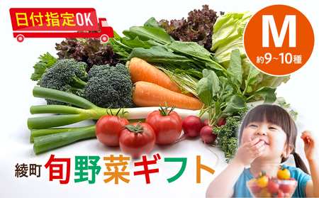 綾町旬野菜ギフト〈 Mサイズ/約9-10種 〉2～3人分 産地直送 野菜セット 詰め合わせ 新鮮 有機栽培 旬 採れたて 野菜 新鮮野菜 人参 トマト じゃがいも 玉ねぎ きゅうり さつまいも 芋 ねぎ 小松菜 大根 ほうれん草 キャベツ キノコ等 送料無料 【オーガニックのまち 宮崎県綾町】_A0004-1041