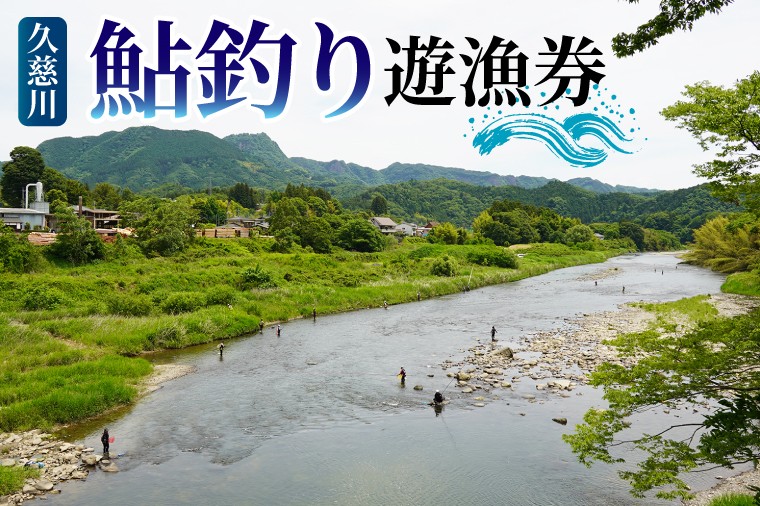 
                  茨城県 久慈川 鮎釣り 1年券 入漁券（令和8年度）｜鮎 アユ あゆ 釣り 大子町 自然 アウトドア 清流（AV004）
                