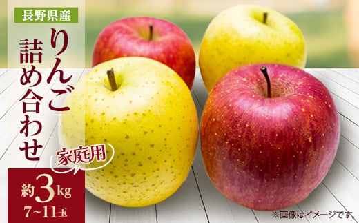 家庭用 りんご サンふじ&シナノゴールド 詰め合わせ 約3kg(7～11玉程度)【1577932】