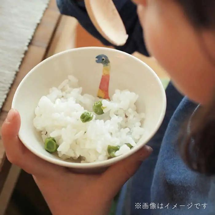 【波佐見焼】こども用食器3点セット(恐竜) 【studio wani】[MB48]