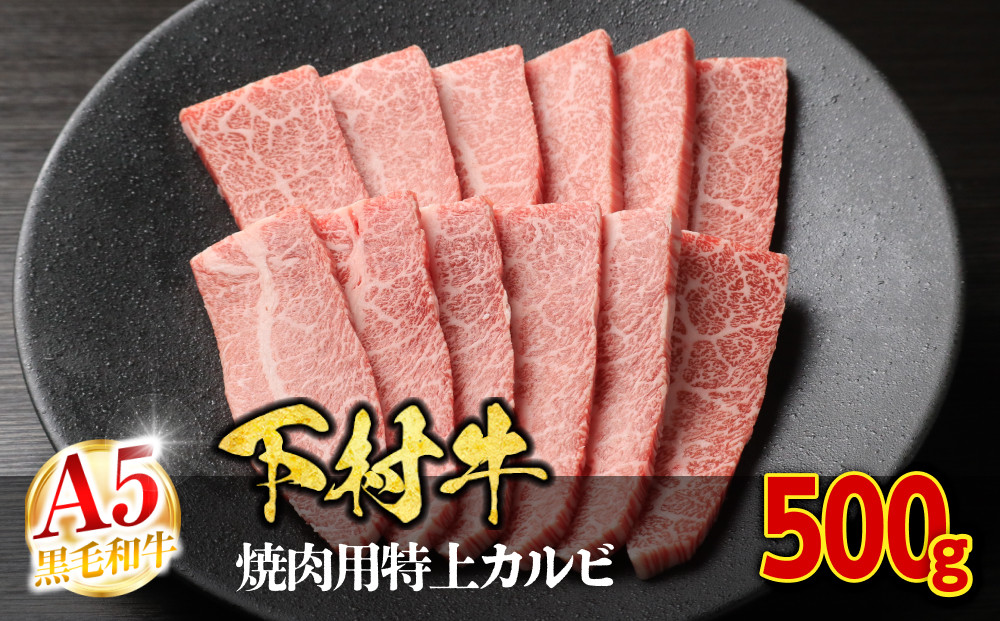 【定番】大府特産A5黒毛和牛下村牛焼肉用特上カルビ　500g 232238_N049