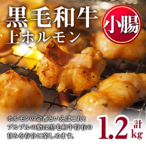 No.1001-02 黒毛和牛上ホルモン(計1.2kg)国産 九州産 牛肉 黒毛和牛 和牛 ホルモン 焼肉 鉄板焼き もつ鍋 冷凍 小分け【カミチク】