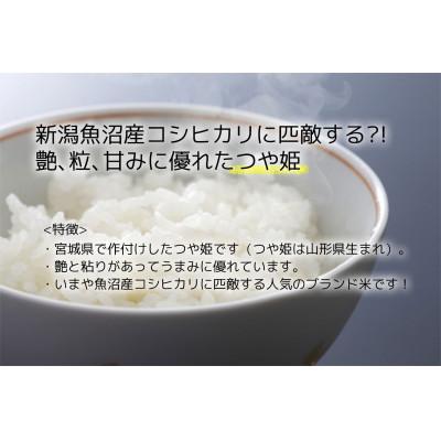 ふるさと納税 宮城県 【つや姫】宮城県産 令和7年産 精米 5kg(5kg×1袋) |  | 01