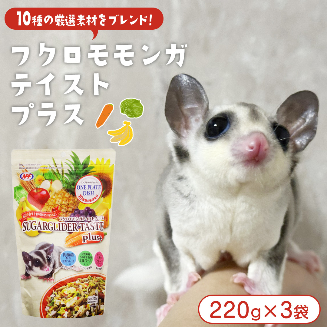 【9月30日受付終了】フクロモモンガ テイストプラス 220g × 3袋 フクロモモンガ 小動物用フード ペットフード おやつ 乳酸菌配合 [BU036sa]