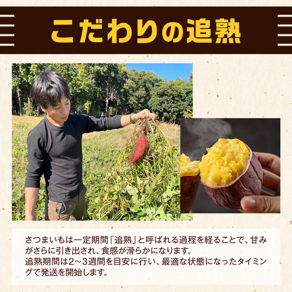 茨城県産 紅はるか 5kg 土付き 無選別 熟成 さつまいも 生芋 