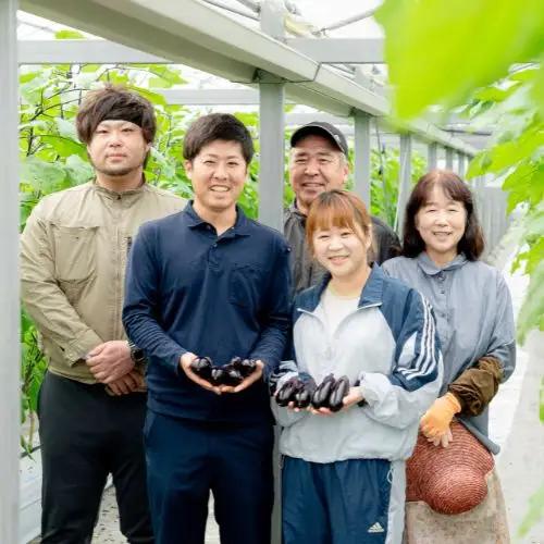 131004　奈半利町の茄子【慎太郎】30本