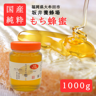 
            みつばちの雫　国産もち蜂蜜　1000g【1481085】
          