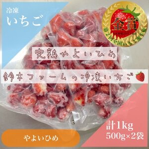 栃木県茂木町産　冷凍いちご　完熟やよいひめ　500g×2【配送不可地域：離島】【1513555】