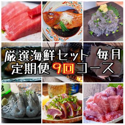 ふるさと納税 小田原市 【毎月定期便】特選!海鮮セット!日本酒、焼酎のアテにピッタリ!【神奈川県小田原市早川】全9回