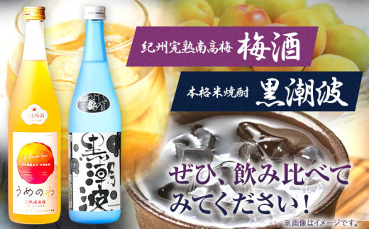 本格米焼酎黒潮波紀州完熟南高梅梅酒720ml×各1本2本セット厳選館《90日以内に出荷予定(土日祝除く)》酒焼酎果実酒---wshg_genknku_90d_22_13000_2p---