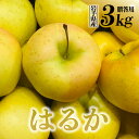 【ふるさと納税】先行予約 令和6年産 りんご はるか 3kg 贈答用 金ケ崎町産 岩手県 先行予約 12月上旬発送予定