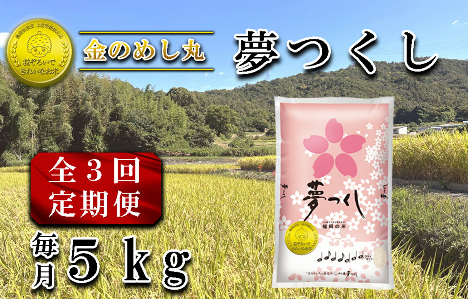 【ふるさと納税】【定期便3回】令和7年米　金のめし丸夢つくし 5Kg（1袋）×3回_CE-081
