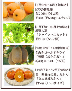フルーツ王国みとよのこだわり6品定期便（6回）【配送不可地域：北海道・沖縄県・離島】_M02-0210