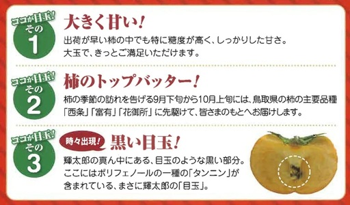 鳥取県産柿「輝太郎柿」きたろうかき