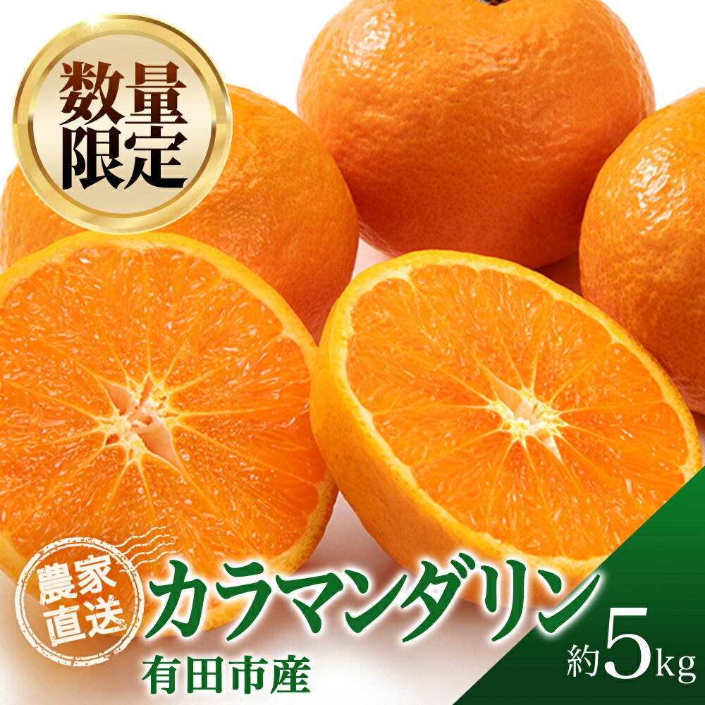 【ふるさと納税】カラマンダリン 5kg 濃厚 柑橘 フルーツ 果物 くだもの みかん 人気 おすすめ 送料無料 国産 和歌山 有田市【2026年4月上旬より順次発送】（A142-1）