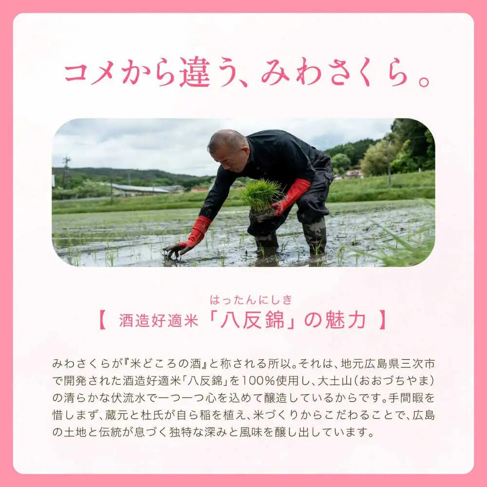  日本酒 みわさくらじゅんまい 720ml×1本 お酒 地酒 酒 純米酒 広島 美和桜 [APBF008] 日本酒 