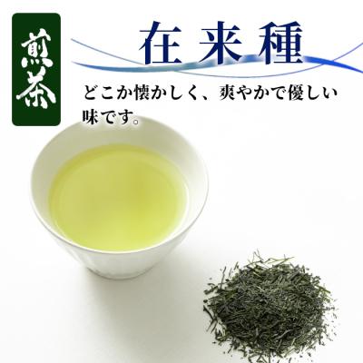 ふるさと納税 東白川村 栽培期間中 農薬不使用! 煎茶 在来種 100g 常磐園 日本茶 緑茶 煎茶 |  | 01