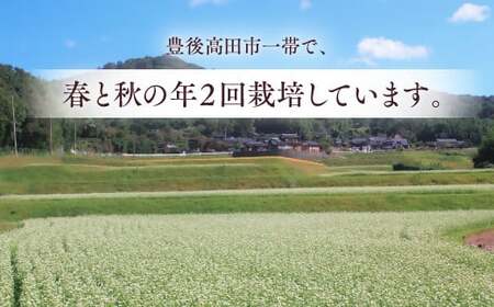 0C1-158 【12/17～28配送】R7秋新そば 豊後高田なまそば（100g×8食・つゆ付） 