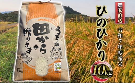 米 10kg 令和7年度産米 ひのひかり 筑後小郡産 農家直送 お米 コメ