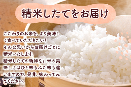 【定期便3ヶ月】《令和7年産 新米受付》米 特別栽培米 あきたこまち【精白米】10kg（10kg×1袋）ローズメイ 秋田県 大仙市産