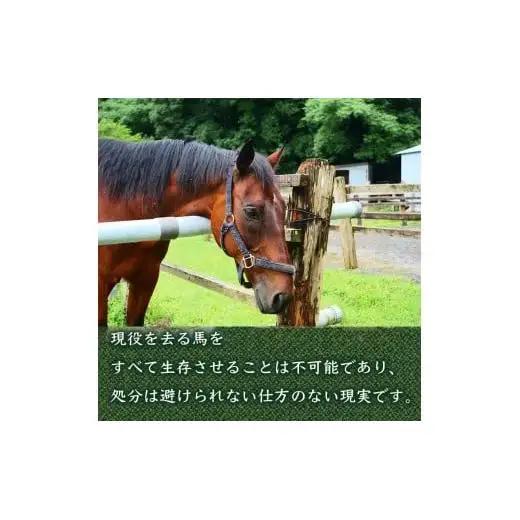 【 支援 】 支援引退馬 100万 