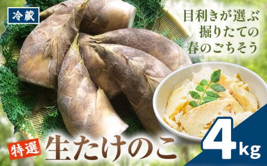 ＼米ぬか付き／先行受付 令和9年産 特選生たけのこ 4kg《3月下旬-4月下旬頃出荷》熊本県産 南関 タケノコ 筍 竹の子 掘りたて 採れたて 春 野菜 国産 新鮮 炊き込みご飯 土佐煮 メンマ 産地直送 古賀商店 ふるさと納税 熊本 たけのこ