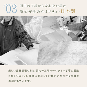 羽毛 掛け布団 色(ベージュ) ダウン90% 0.25kg入り エコテックス認証 羽毛肌 掛け布団 シングル ロング