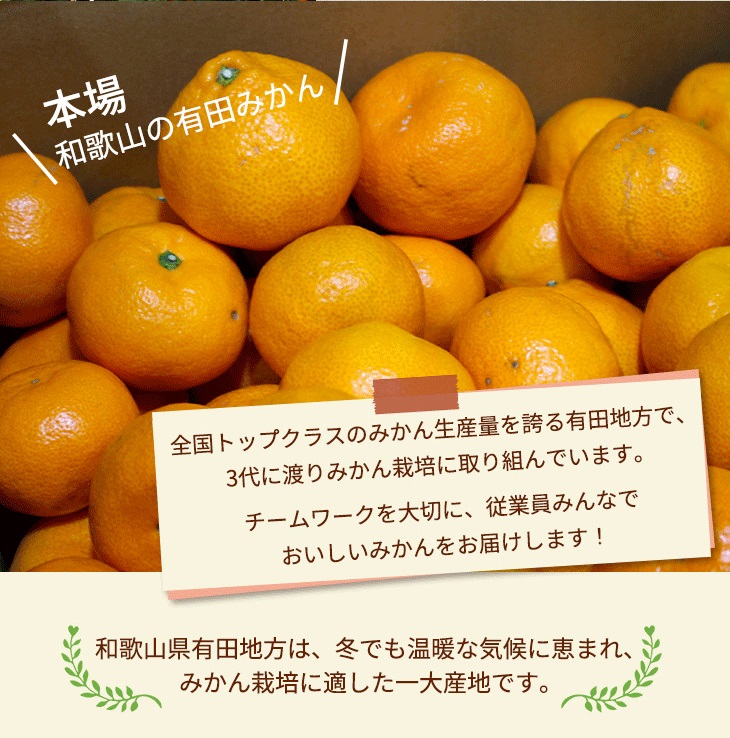 ＼光センサー選別／こだわりの完熟有田みかん 約10kg 【ご家庭用】 ◇ふるさと納税 みかん 有機質肥料100%
※2024年11月中旬～2025年1月上旬頃に順次発送予定
※北海道・沖縄・離島への配