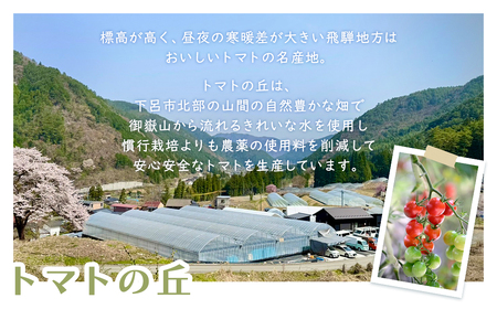 飛騨産 100％ 無添加 ミニトマトジュース180㎖  4本セット(4) 2種類 (プチぷよ、イエローアイコ)（各2本）トマトジュース 野菜ジュース  無添加 無塩 【113-7】
