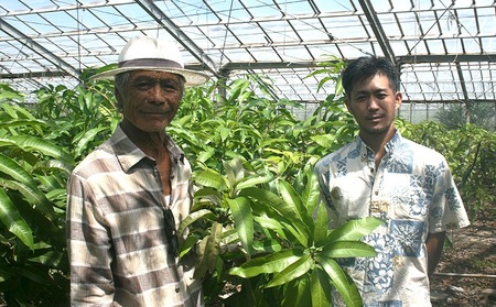 【2024年発送】久米島赤鶏牧場の循環型農業で育てた完熟マンゴー2kg（4～6玉）