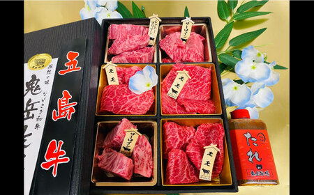 【日時指定必須】長崎和牛 五島牛 松花堂焼肉セット B 【約480g】五島市/鬼岳牧場 [PEK034] 